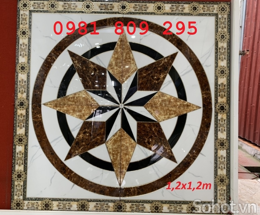 Gạch thảm chiếu cầu thang GF576