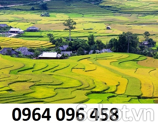 Tranh gạch 3d ruộng bậc thang - SXV887