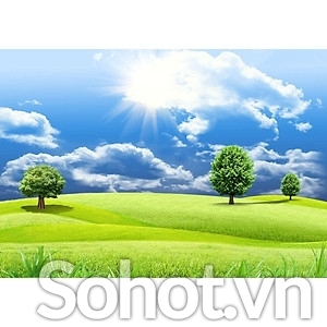 Tranh gạch 3d phong cảnh thiên nhiên - DCB65
