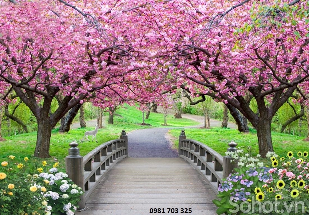 Gạch tranh 3D- tranh hoa đào