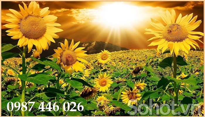 Gạch tranh tương vườn hoa HP2646