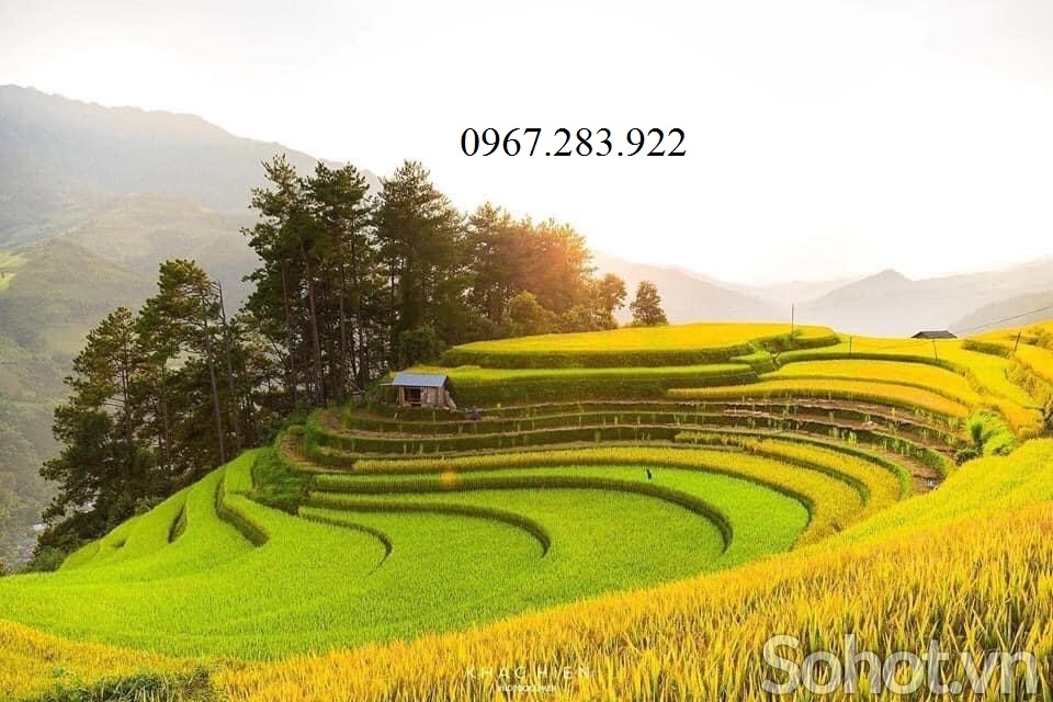 Tranh 3D- Tranh gạch đồng quê