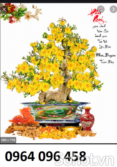 Tranh cây mai 3d - tranh gạch 3d cây mai - H002