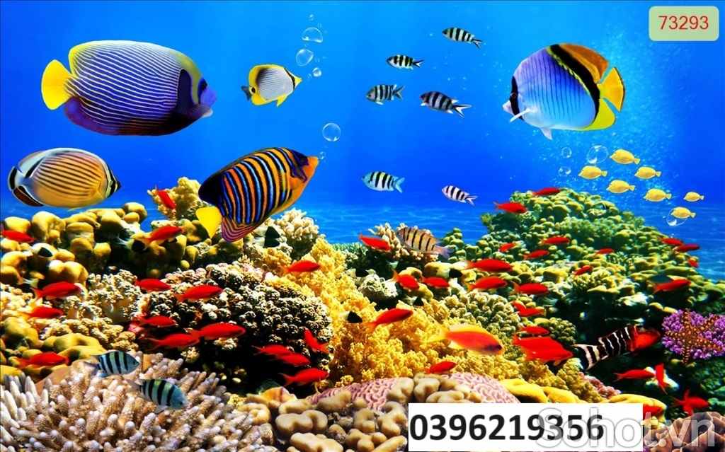 Tranh cảnh biển trang trí đẹp