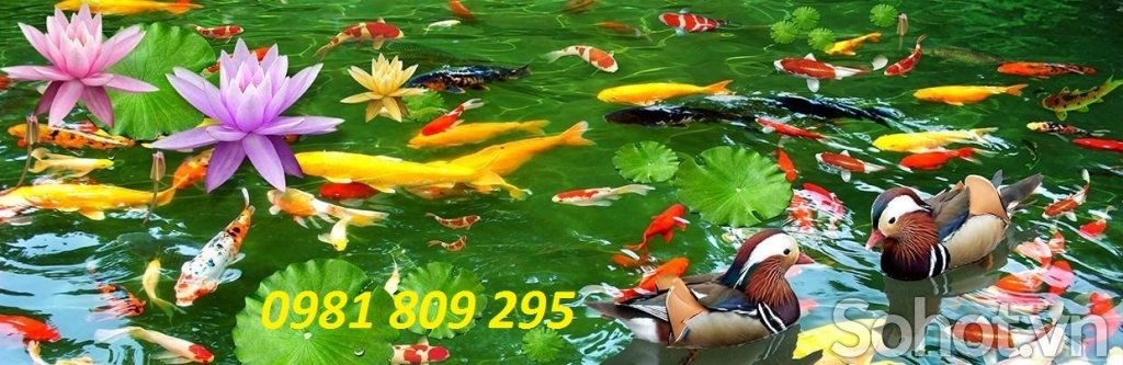 gạch tranh trang trí 3d cá chép