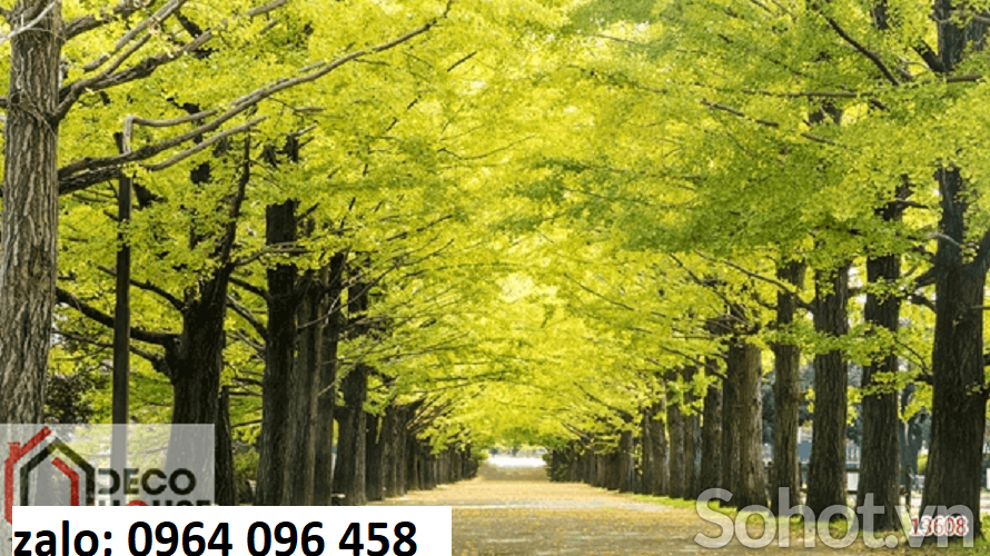 Tranh gạch 3d phong cảnh cây cối - SCX533