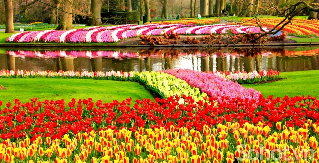 Tranh 3D- Tranh phong cảnh vườn hoa