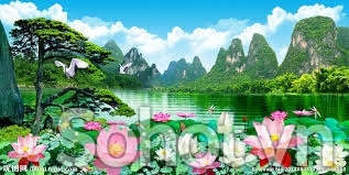 Tranh gạch 3d hoa sen - gạch tranh 3d hoa sen - KJH55