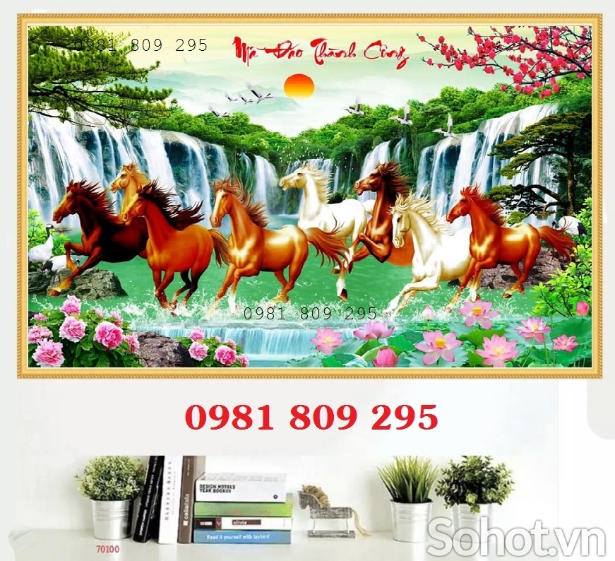 Gạch ốp tường bát mã HP5656