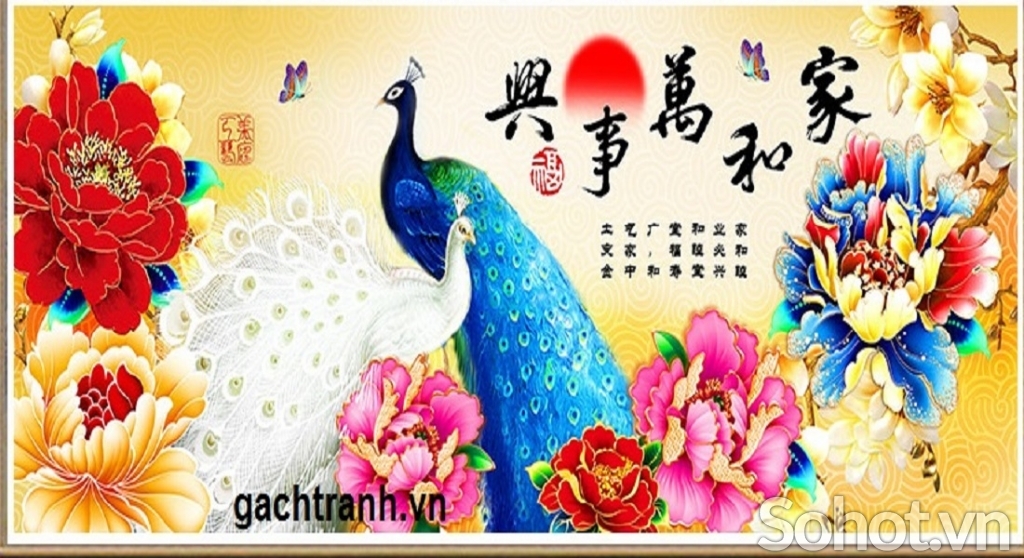 Tranh gạch 3d trang trí phòng khách đẹp - MNBN84