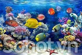 Tranh gạch 3d cá heo đại dương - 043XC