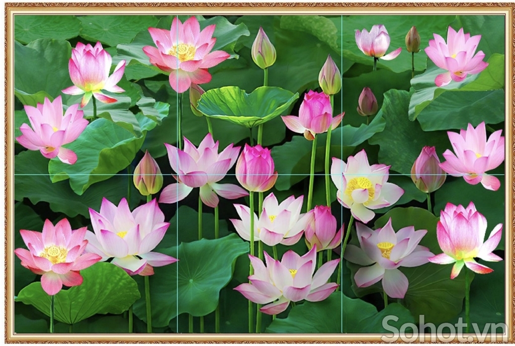 Tranh gạch ốp tường 3d hoa sen - GKKN5