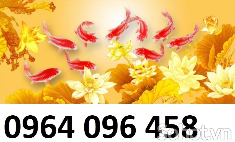 Tranh gạch 3d cá chép hoa mẫu đơn - CNMM09
