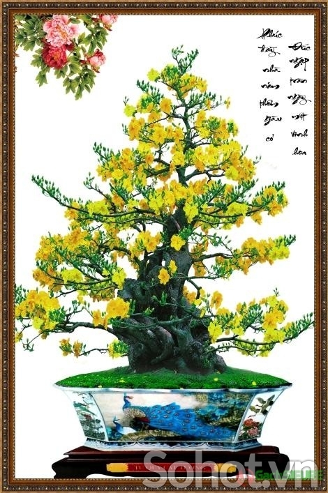 Tranh gạch 3d ốp tường tranh hoa mai - CX432