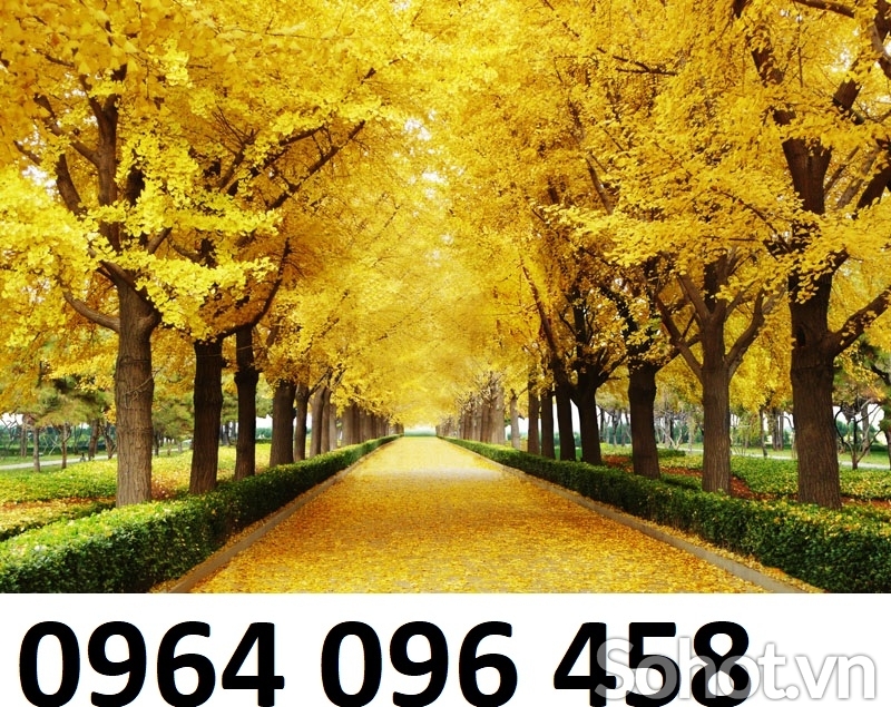 Tranh gạch men 3d phong cảnh đồng quê - SCX53