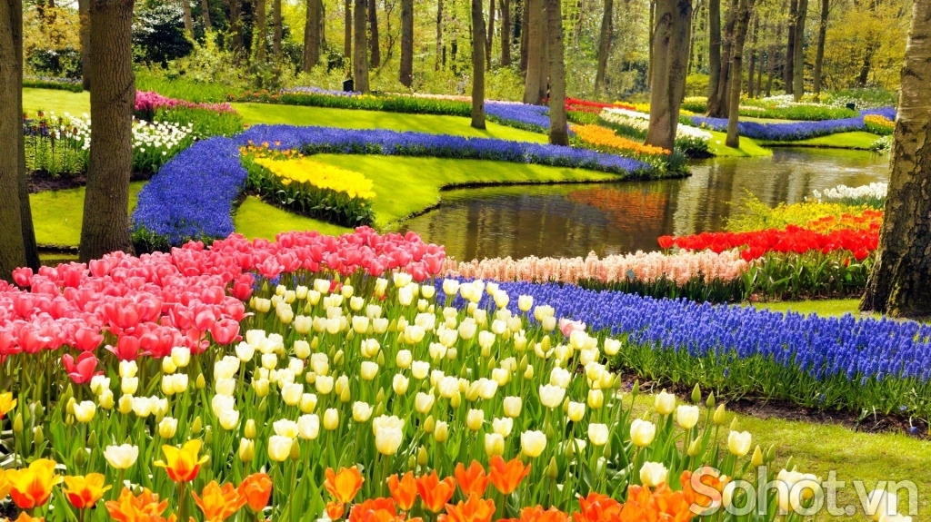Tranh phong cảnh ốp tường- Tranh vườn hoa 3D