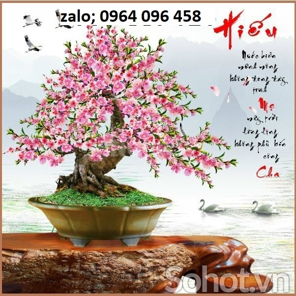 Tranh cây hoa đào - tranh gạch 3d hoa đào - SXVV43