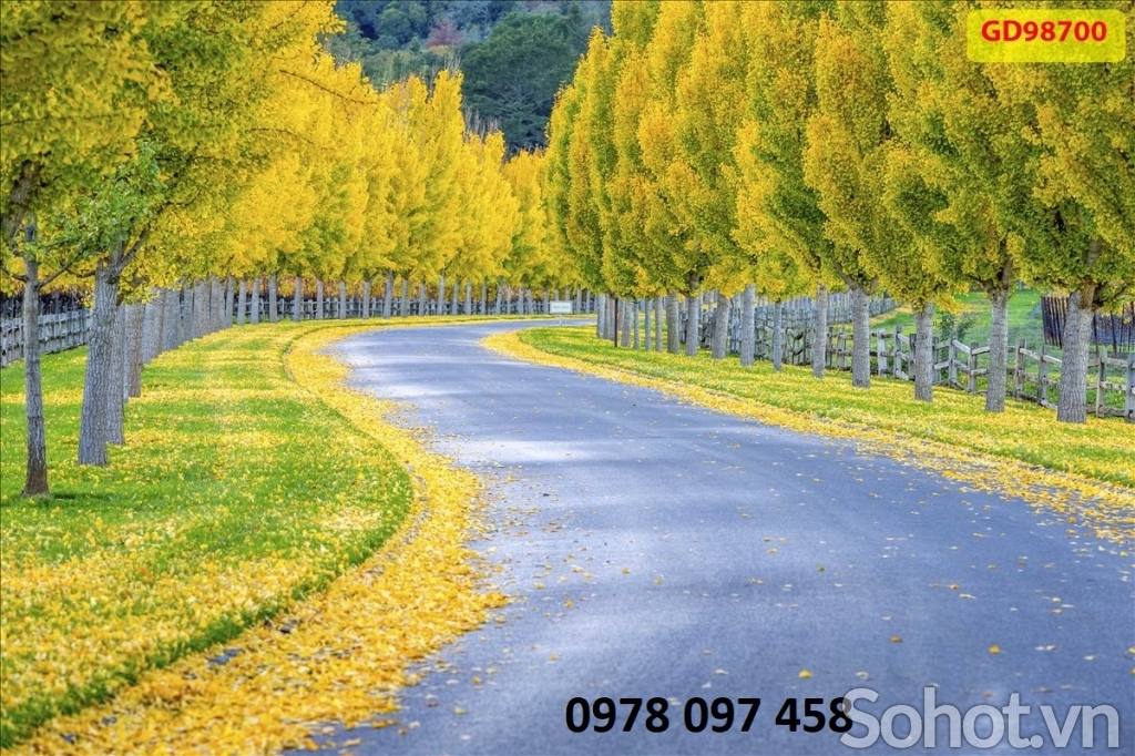 Gạch tranh hoa tiết phong cảnh mùa thu