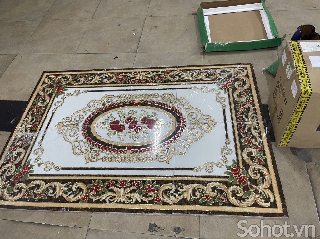 Gạch thảm phòng khách - hiên nhà - SCBV6