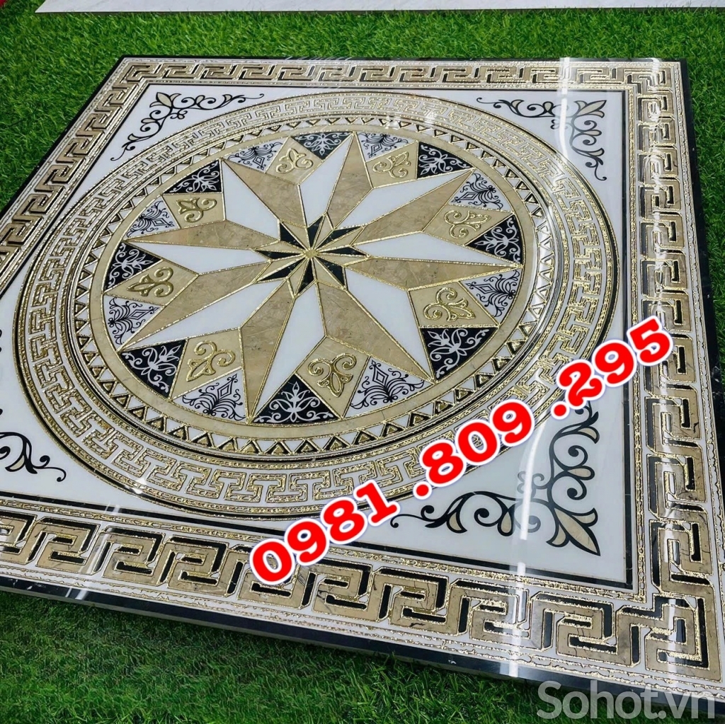 Gạch chiếu nghỉ 80x80cm GB686