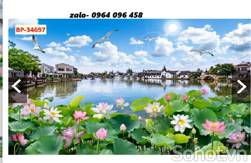 Tranh gạch 3d hoa sen - gạch tranh 3d hoa sen - HGDS3