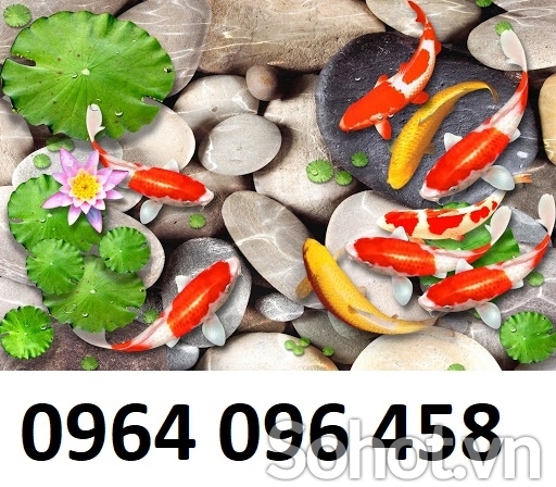 Tranh gạch cá koi 3d ốp tường phong thủy - SCX9900
