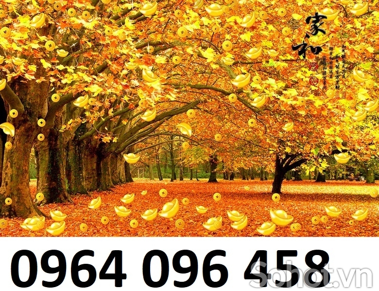 Tranh 3d cây kim tiền - tranh gạch 3d ốp tường - 699CM