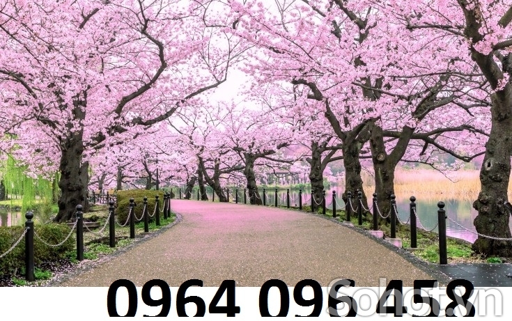 Tranh gạch 3d hoa đào - gạch tranh 3d hoa đào -SL029