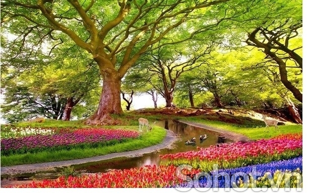 Tranh gạch 3d - gạch tranh 3d - FXZ44