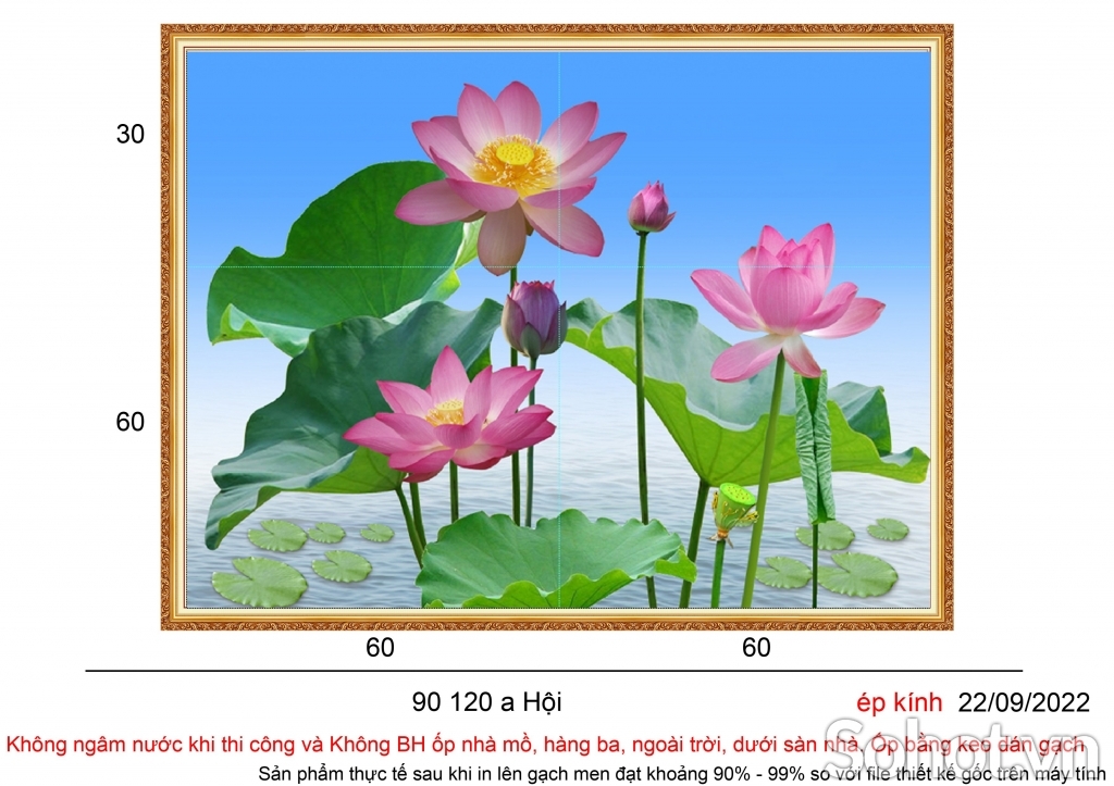 Gạch tranh họa tiết hoa sen