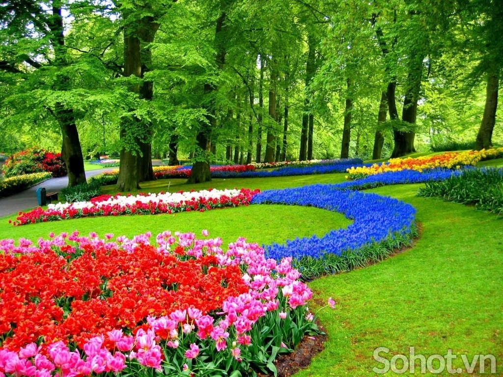 Tranh phong cảnh vườn hoa cao cấp - Hà Nội 