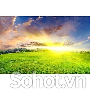Tranh gạch 3d - gạch tranh 3d - CXZ52