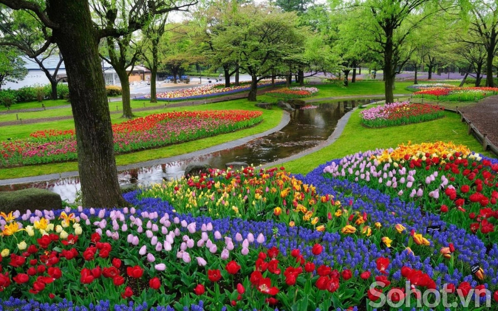 Tranh 3D- Tranh gạch vườn hoa