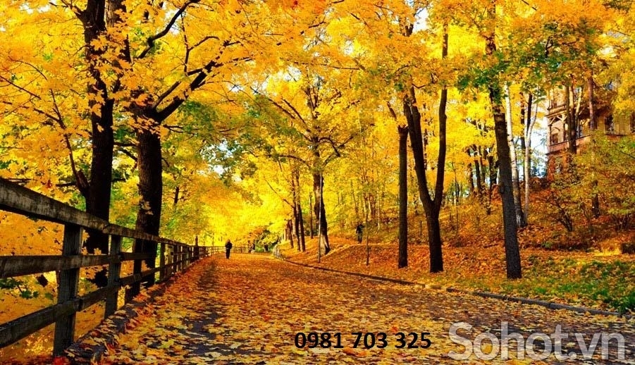 Gạch tranh 3D- tranh phong cảnh lá vàng