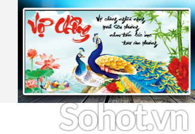 Tranh gạch 3d ốp tường tranh chim công -SDX32