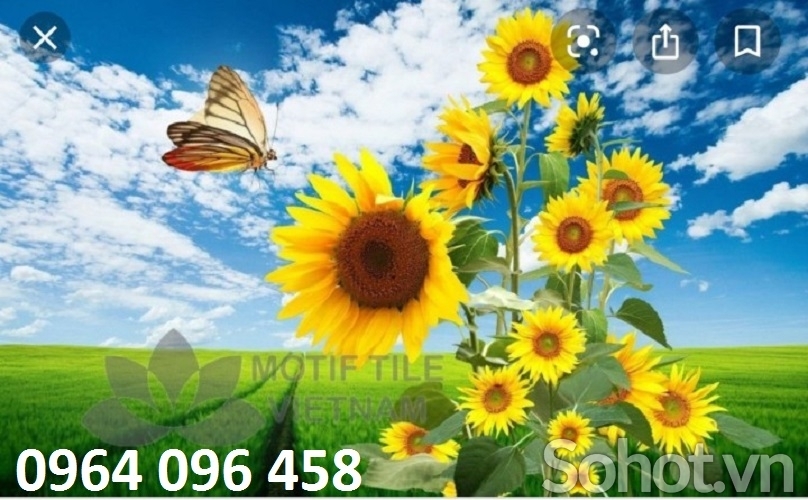 Tranh gạch 3d ốp tường phòng bếp - BV6