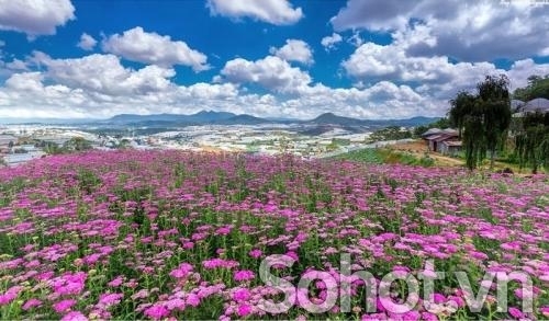 Tranh phong cảnh vườn hoa trang trí phòng