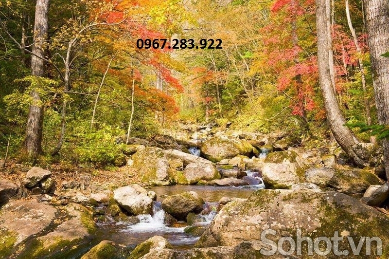 Gạch trang trí cảnh mùa thu