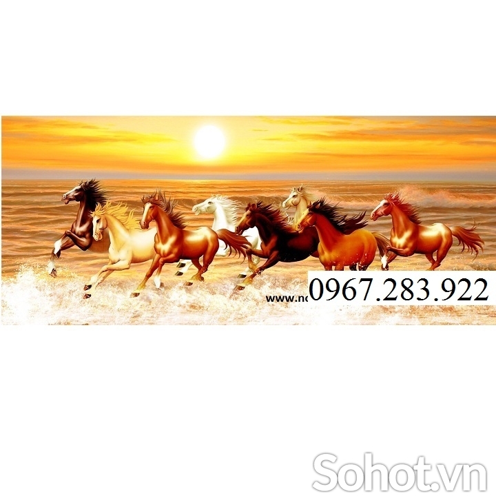 Gạch trang trí mã đáo thành công