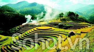 Gạch tranh 3d - 5d ốp tường - 721AN