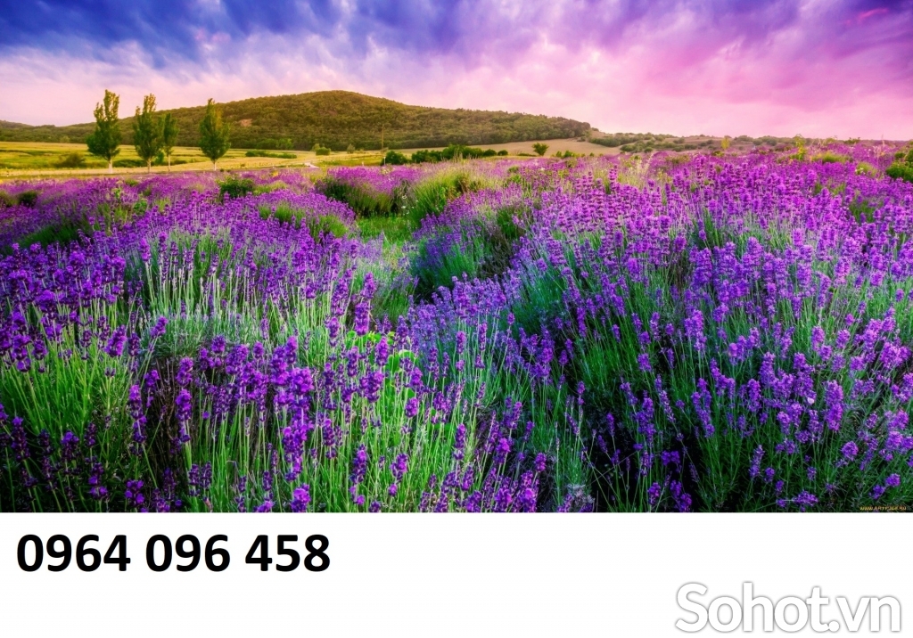 Tranh gạch 3d phong cảnh thiên nhiên - TCCC3