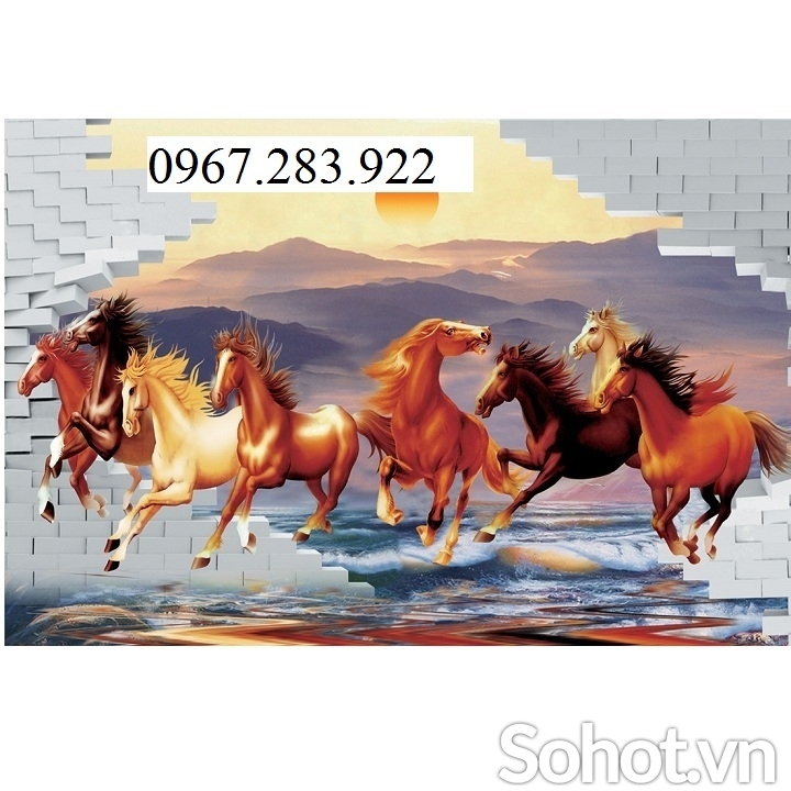 Gạch trang trí mã đáo thành công