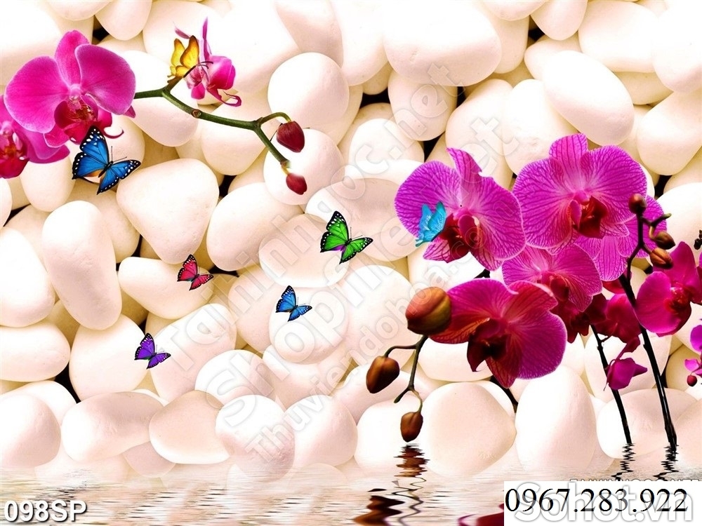 Tranh hoa lan ốp tường phòng khách- Tranh 3D
