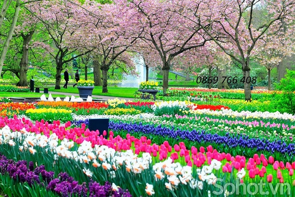 Tranh vườn hoa-gạch tranh mùa - Hà Nội 