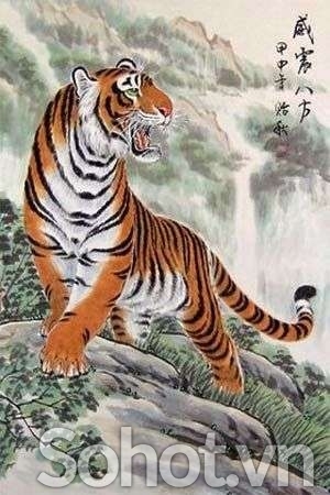 Tranh hổ - tranh gạch 3d con hổ - 871AP