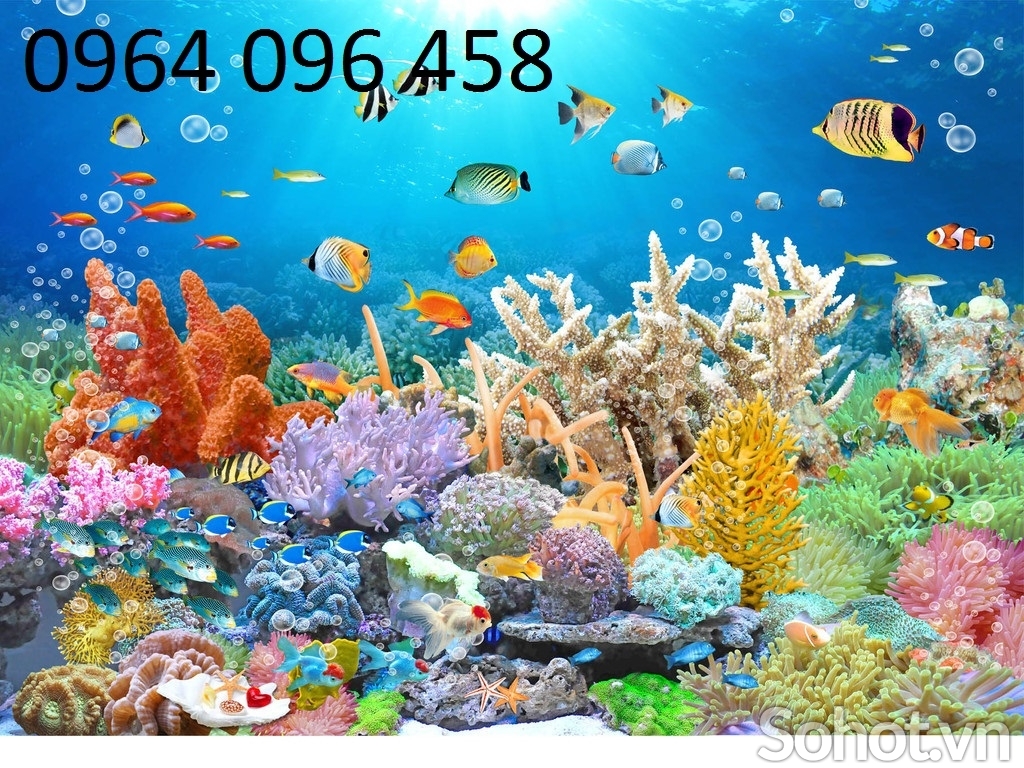 Gạch tranh 3d cá heo đại dương - NMMM04