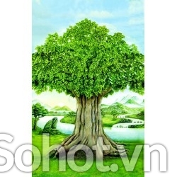 Tranh cây bồ đề - tranh gạch 3d cây bồ đề - 543SN