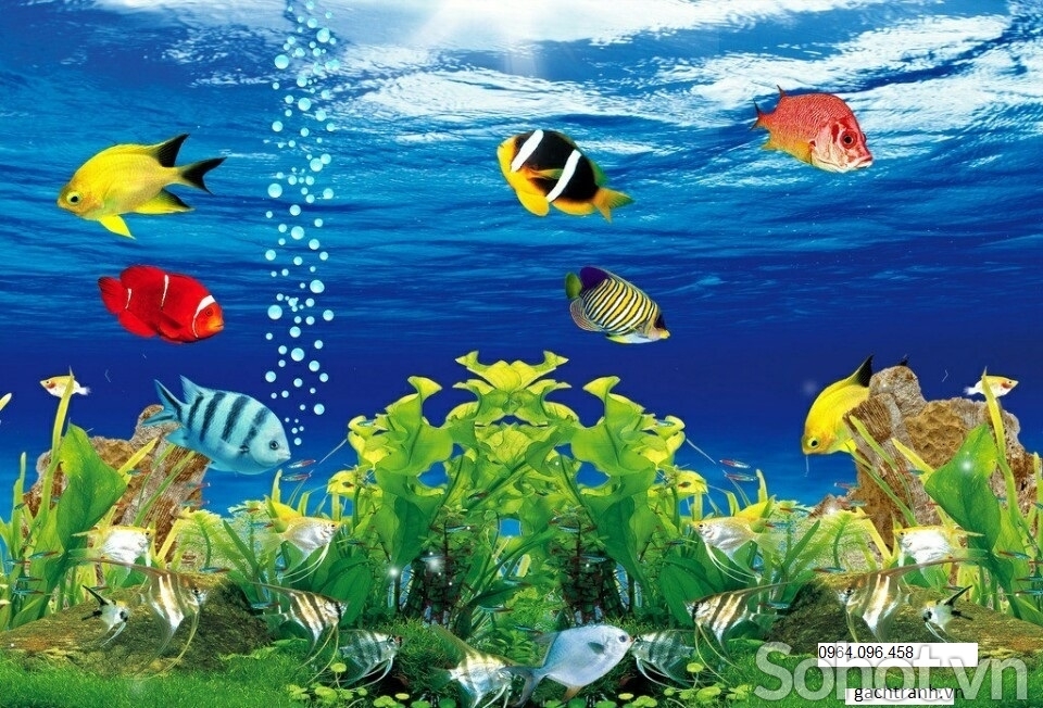gạch tranh 3d cá heo - 34DF