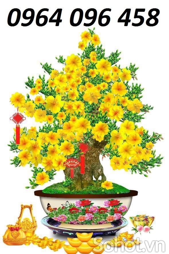 Tranh gạch 3d hoa mai - GFD43