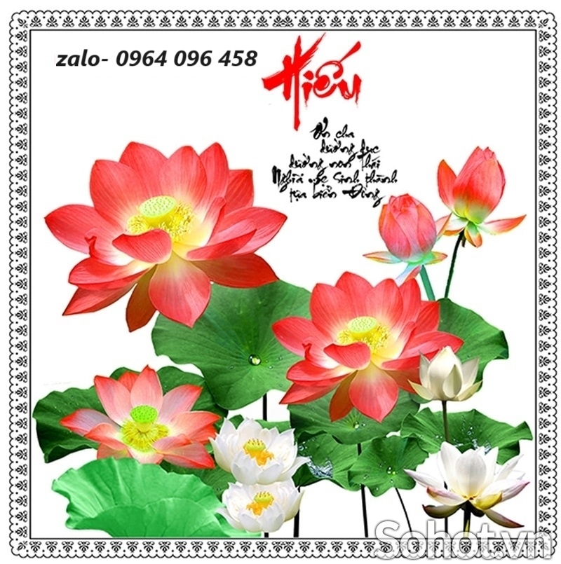 Tranh gạch 3d ốp tường tranh hoa sen - MM900